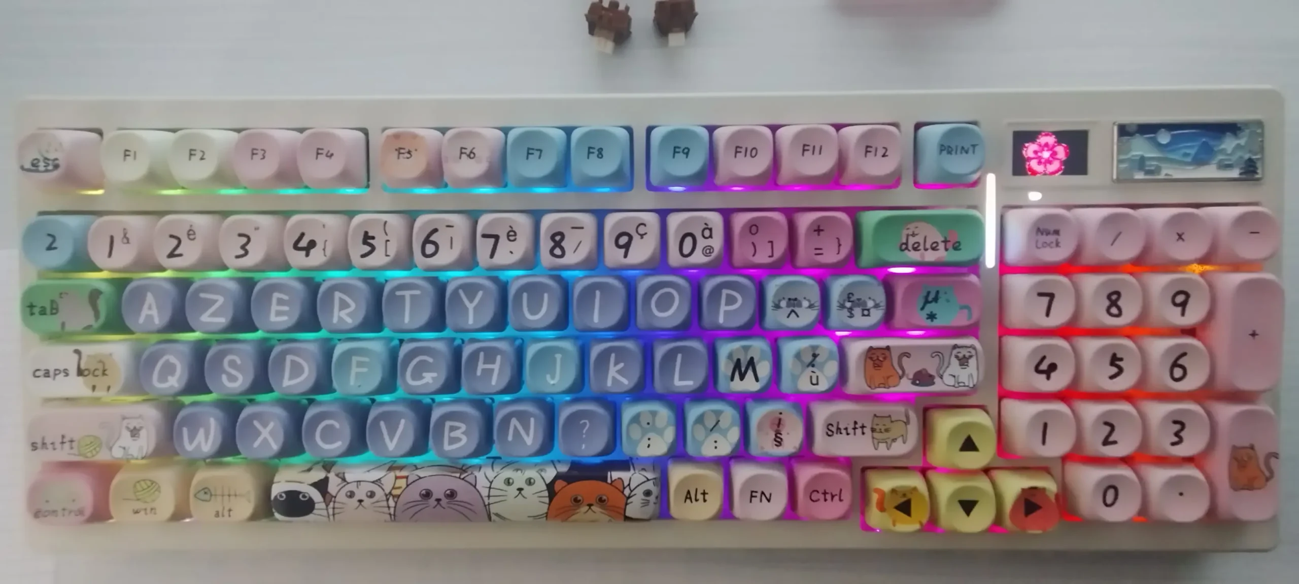 Keycaps AZERTY MOA Cat and Mouse ISO FR